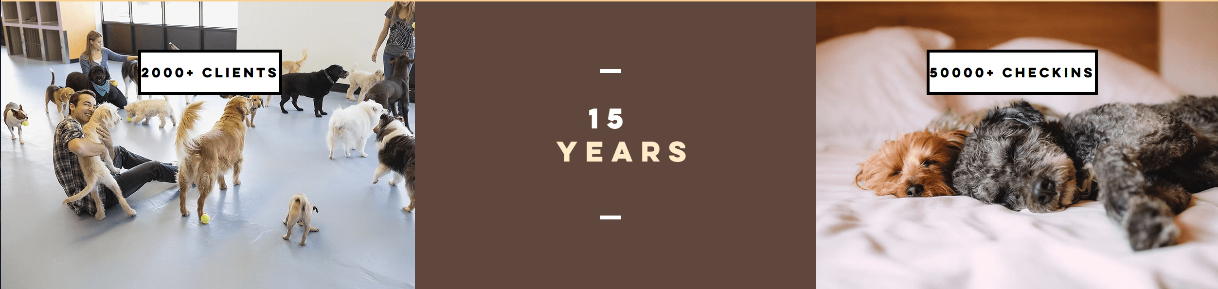 Petspace impact: 2000+ clients, 15 years, 50000+ checkins